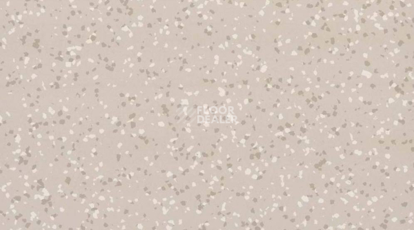 Линолеум Taralay Premium Compact Barazilia 4342 JUARA фото 1 | FLOORDEALER